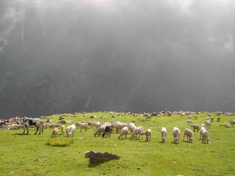 DSCN2732 - Copy_rsz.jpg